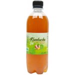 Stevikom bio Kombucha zázvorová s meduňkou 0,5 l – Zbozi.Blesk.cz