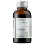 Dědek kořenář Rozchodnicová směs ROK+ 100 ml – Hledejceny.cz
