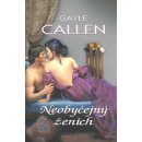 Neobyčejný ženich - Gayle Callen