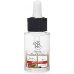 Boles D´olor Esence vonná rozpustná ve vodě Black Edition Winter Fruits 30 ml – Zboží Dáma