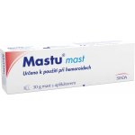 Stada Mastu mast 30 g – Hledejceny.cz