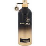 Montale Spicy Aoud parfémovaná voda unisex 100 ml – Hledejceny.cz