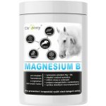 DROMY Magnesium B 1 kg – Sleviste.cz