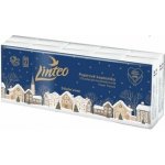 Linteo Den&Noc Papírové kapesníky 3-vrstvé 10x10 ks – Sleviste.cz