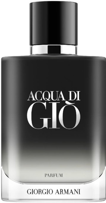 Giorgio Armani Acqua di Giò parfém pánský 100 ml