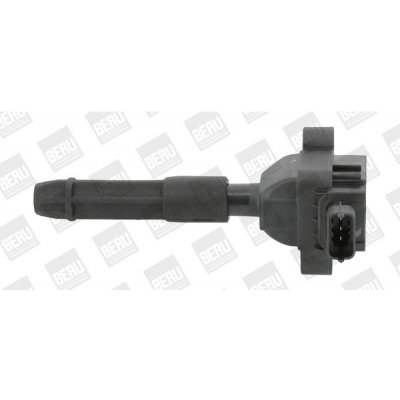 Zapalovací cívka BorgWarner (BERU) ZS041 – Hledejceny.cz