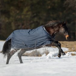 BUSSE Deka výběhová Flexible Pro bez krku navy grey