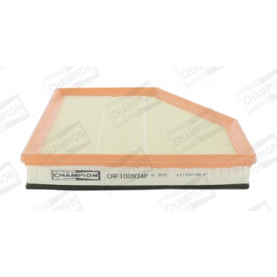 CHAMPION Vzduchový filtr CAF100934P – Hledejceny.cz