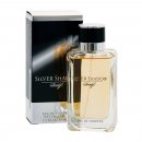 Davidoff Silver Shadow toaletní voda pánská 50 ml