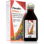 Salus Floradix sirup proti únavě 250 ml – Hledejceny.cz