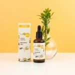 Kvitok Organický meruňkový olej 50 ml – Zbozi.Blesk.cz