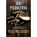 Velké maličkosti - Jodi Picoult – Hledejceny.cz