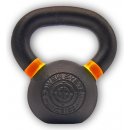 Ariana PS-4101 KETTLEBELL EVO 8kg