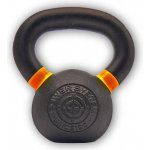 Ariana PS-4101 KETTLEBELL EVO 8kg – Zboží Mobilmania