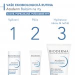 Bioderma Atoderm balzám na rty 15 ml – Zbozi.Blesk.cz