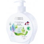 Eurona Prostředek na ruční mytí nádobí s aloe vera Auri Skye 400 ml – Zboží Dáma