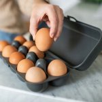 Koziol Box na vajec Eggs To Go 10 ks – Zboží Mobilmania