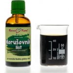 Bylinné kapky Moruše list tinktura 50 ml – Hledejceny.cz