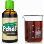 Bylinné kapky Pavlovy Pcháč japonský TCM tinktura 50 ml – Hledejceny.cz
