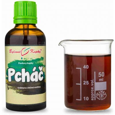 Bylinné kapky Pavlovy Pcháč japonský TCM tinktura 50 ml – Hledejceny.cz