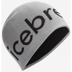 Icebreaker beanie Alloy/Black – Hledejceny.cz