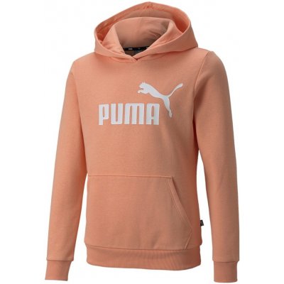 Puma ESS Logo Hoodie FL G – Zboží Mobilmania