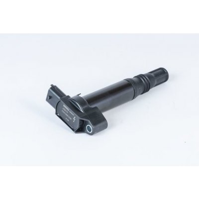 Zapalovací cívka BorgWarner (BERU) ZS574 – Hledejceny.cz