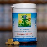 TCM Herbs Pilulka hořce 100 tablet – Hledejceny.cz
