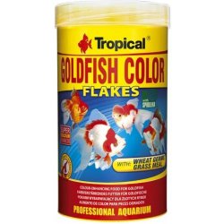 Tropical Goldfish Color 250 ml