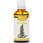 Serafin Divizna tinktura z pupenů 50 ml – Hledejceny.cz