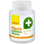 Wolfberry Maca kyselina listová 120 tablet – Hledejceny.cz