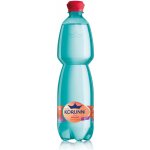 Korunní Mango 0,75 l - PET – Hledejceny.cz
