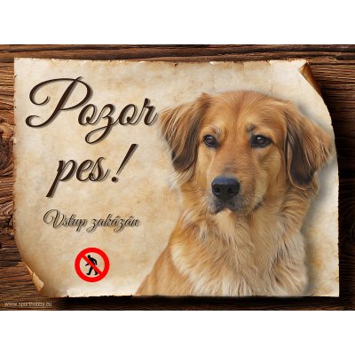 Sport hobby Cedulka Hovawart II Pozor pes zákaz 15 x 11 cm – Hledejceny.cz