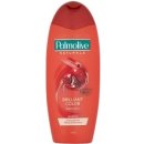 Šampon Palmolive Naturals Brilliant Color šampon 350 ml