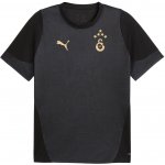 Puma Galatasaray Istanbul Training Jersey 949105-010 – Hledejceny.cz