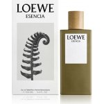 Loewe Esencia Loewe toaletní voda pánská 50 ml – Hledejceny.cz