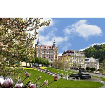 Neomezený wellness pobyt se snídaní v lázeňském hotelu Hvězda**** v Mariánských Lázních pro 2 osoby – Hledejceny.cz