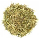 Aniland Zelený oves 0,1 kg – Sleviste.cz