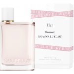 Burberry Her Blossom toaletní voda dámská 100 ml – Hledejceny.cz