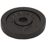 Arsenal litina 2,5kg - 25mm – Hledejceny.cz