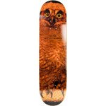 Jacuzzi Michael Pulizzi Hoo – Zboží Mobilmania