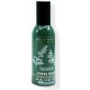 Osvěžovač vzduchu Bath & Body Works bytový sprej EUCALYPTUS SPEARMINT 42,5 g