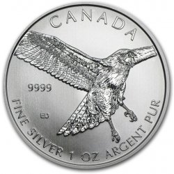 Royal Canadian Mint The Kanada Káně rudoocasá Birds of Prey 1 oz