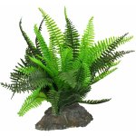 Lucky Reptile Fern 25 cm – Zboží Dáma