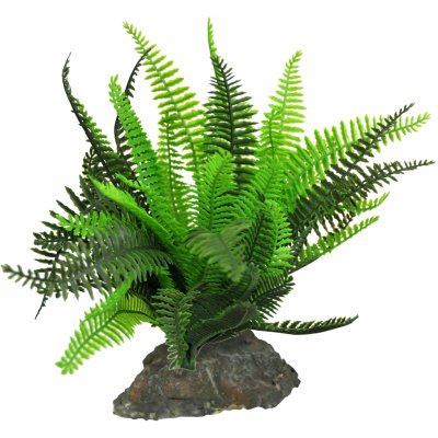 Lucky Reptile Fern 25 cm – Zboží Dáma