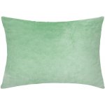 Xpose Mikroplyš mintový 70 x 90 cm – Zbozi.Blesk.cz