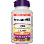 Dr.Max Coenzyme Q10 60 mg 60 kapslí – Hledejceny.cz