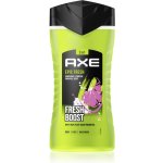 Axe Epic Fresh sprchový gel 250 ml – Sleviste.cz