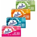 Linteo kapesníky 2-vrstvé 200 ks – Hledejceny.cz