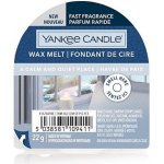 Yankee Candle A CALM & QUIET PLACE Vosk do aromalampy nový 2021 22g – Hledejceny.cz